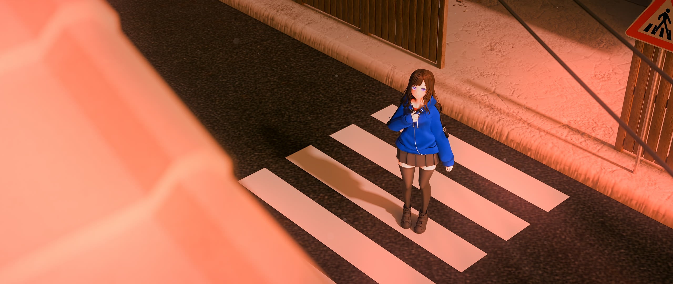 xeu on a zebra crossing at dusk, from above